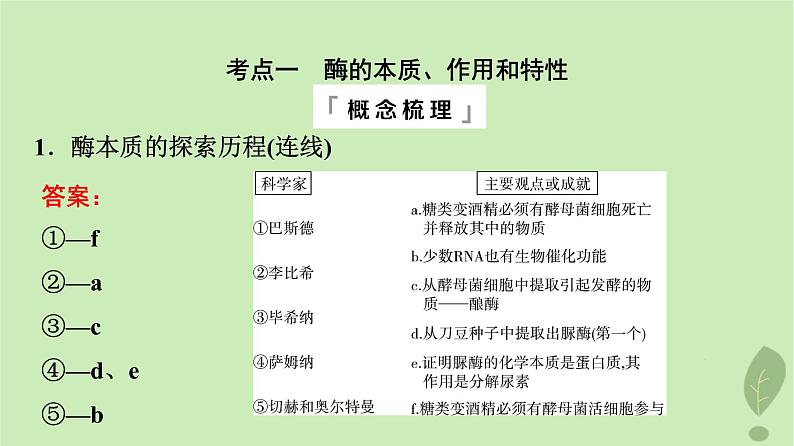 2024版高考生物一轮总复习第3单元细胞的能量供应和利用第7课酶和ATP课件第4页