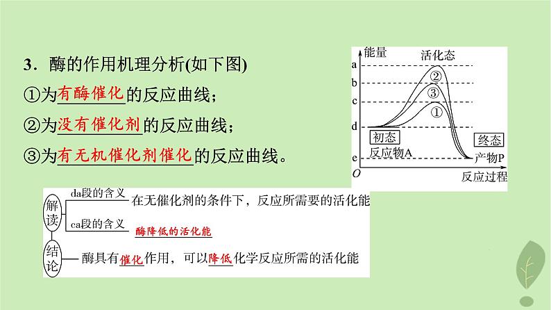 2024版高考生物一轮总复习第3单元细胞的能量供应和利用第7课酶和ATP课件第6页