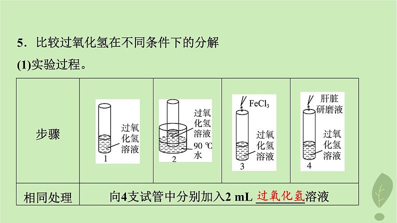 2024版高考生物一轮总复习第3单元细胞的能量供应和利用第7课酶和ATP课件第8页