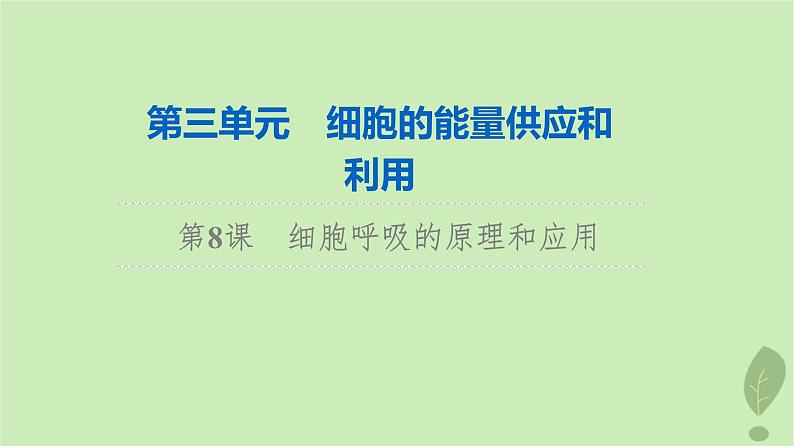 2024版高考生物一轮总复习第3单元细胞的能量供应和利用第8课细胞呼吸的原理和应用课件第1页