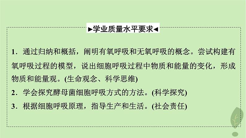 2024版高考生物一轮总复习第3单元细胞的能量供应和利用第8课细胞呼吸的原理和应用课件第2页