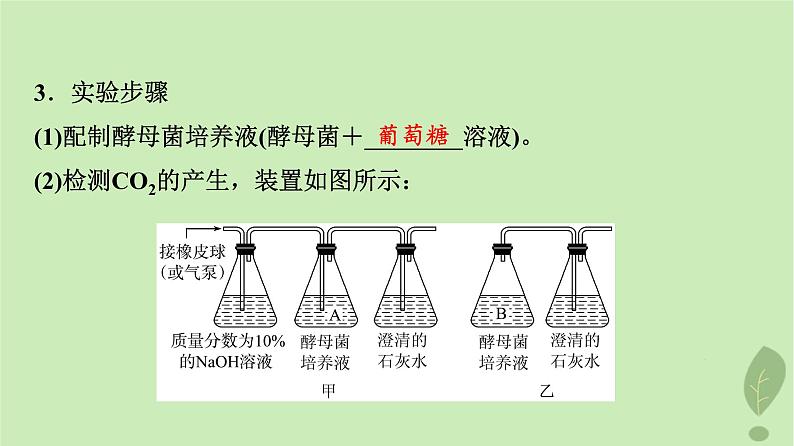 2024版高考生物一轮总复习第3单元细胞的能量供应和利用第8课细胞呼吸的原理和应用课件第6页