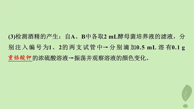 2024版高考生物一轮总复习第3单元细胞的能量供应和利用第8课细胞呼吸的原理和应用课件第7页