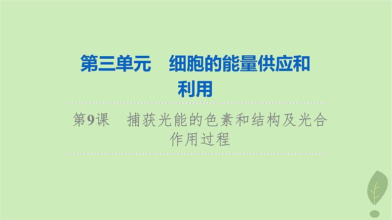 2024版高考生物一轮总复习第3单元细胞的能量供应和利用第9课捕获光能的色素和结构及光合作用过程课件第1页