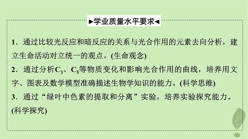 2024版高考生物一轮总复习第3单元细胞的能量供应和利用第9课捕获光能的色素和结构及光合作用过程课件第2页