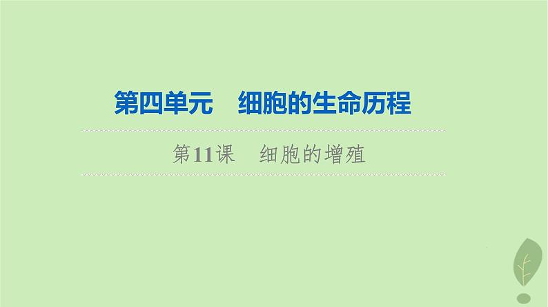 2024版高考生物一轮总复习第4单元细胞的生命历程第11课细胞的增殖课件01