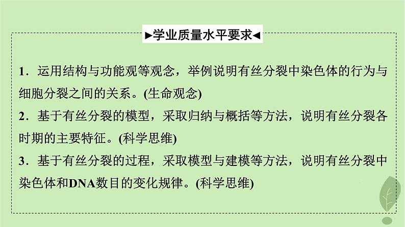 2024版高考生物一轮总复习第4单元细胞的生命历程第11课细胞的增殖课件02