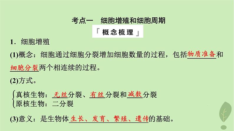 2024版高考生物一轮总复习第4单元细胞的生命历程第11课细胞的增殖课件04