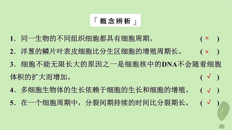 2024版高考生物一轮总复习第4单元细胞的生命历程第11课细胞的增殖课件06