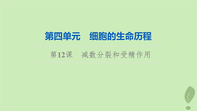 2024版高考生物一轮总复习第4单元细胞的生命历程第12课减数分裂和受精作用课件第1页