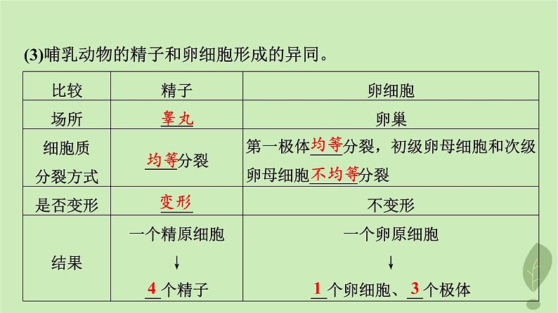 2024版高考生物一轮总复习第4单元细胞的生命历程第12课减数分裂和受精作用课件第7页