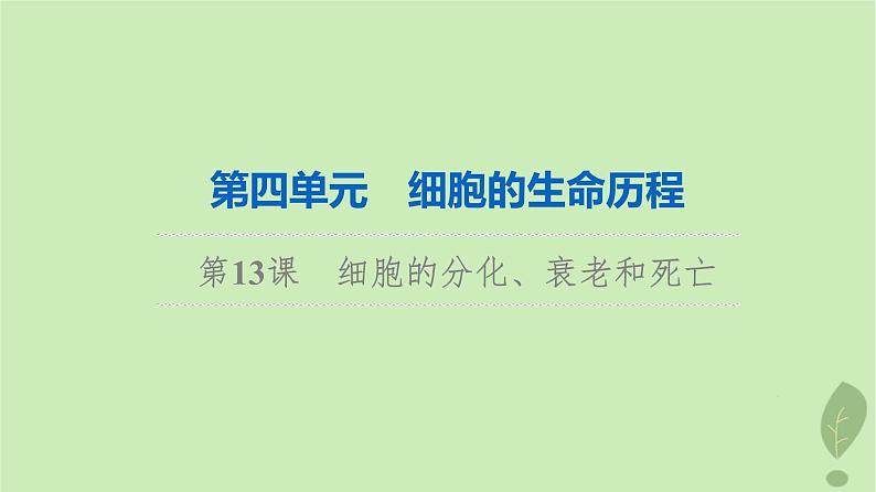 2024版高考生物一轮总复习第4单元细胞的生命历程第13课细胞的分化衰老和死亡课件01