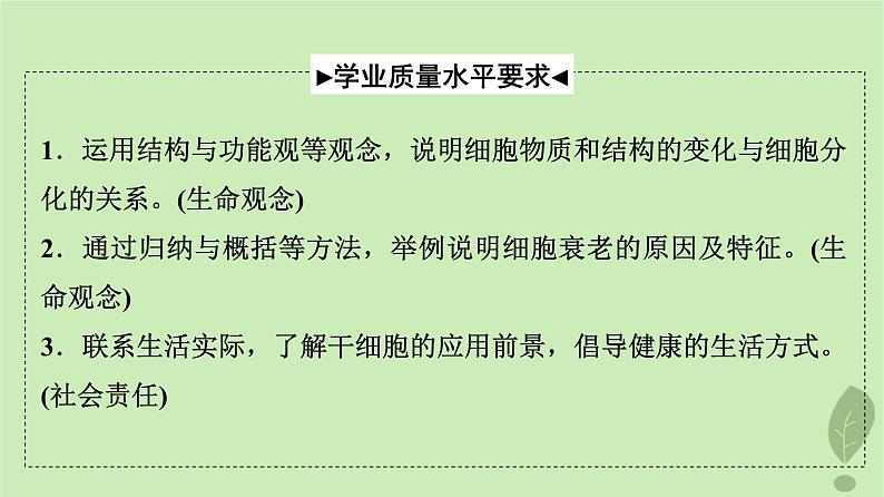 2024版高考生物一轮总复习第4单元细胞的生命历程第13课细胞的分化衰老和死亡课件02