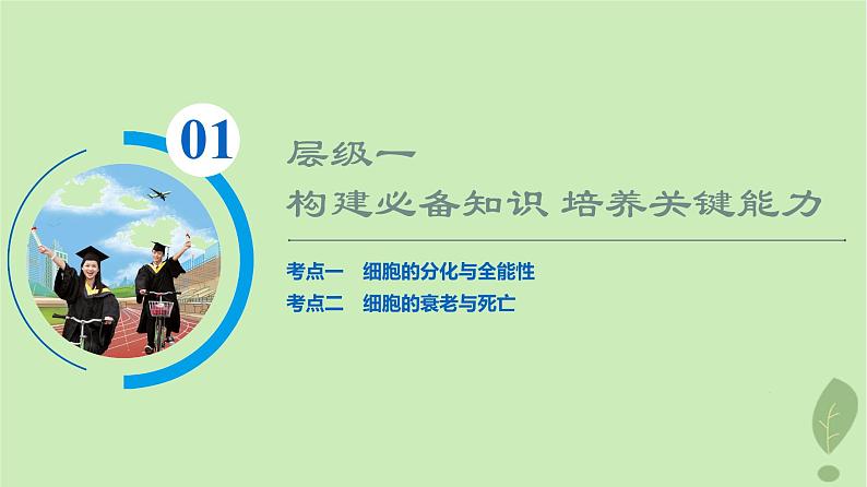 2024版高考生物一轮总复习第4单元细胞的生命历程第13课细胞的分化衰老和死亡课件03