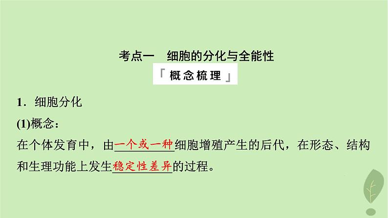 2024版高考生物一轮总复习第4单元细胞的生命历程第13课细胞的分化衰老和死亡课件04