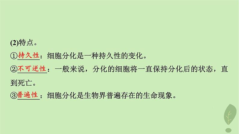 2024版高考生物一轮总复习第4单元细胞的生命历程第13课细胞的分化衰老和死亡课件05