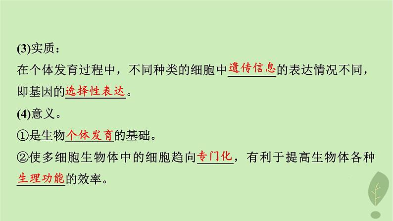 2024版高考生物一轮总复习第4单元细胞的生命历程第13课细胞的分化衰老和死亡课件06