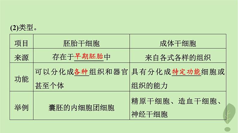 2024版高考生物一轮总复习第4单元细胞的生命历程第13课细胞的分化衰老和死亡课件08