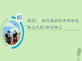 2024版高考生物一轮总复习第5单元遗传的基本规律与伴性遗传实验探究系列3.遗传类实验的设计课件