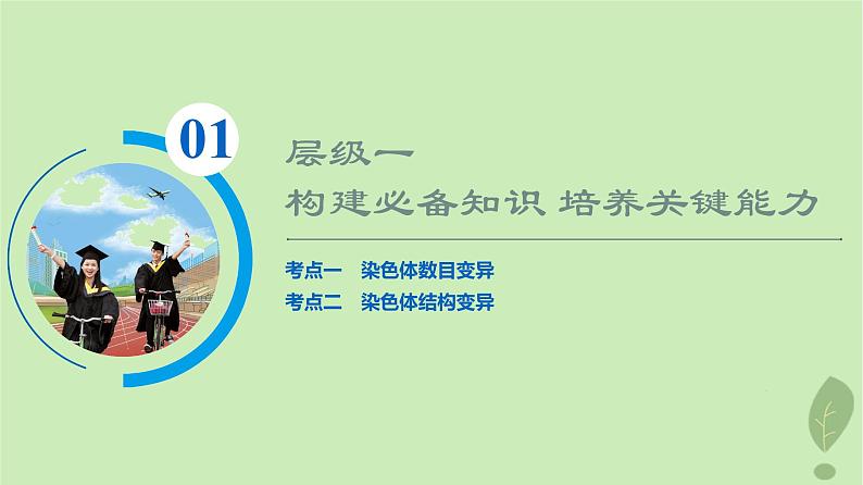 2024版高考生物一轮总复习第7单元生物的变异育种与进化第21课染色体变异课件03