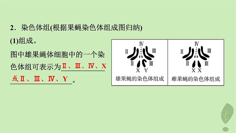 2024版高考生物一轮总复习第7单元生物的变异育种与进化第21课染色体变异课件05