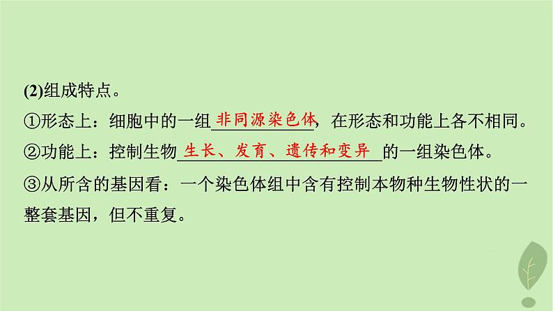 2024版高考生物一轮总复习第7单元生物的变异育种与进化第21课染色体变异课件06