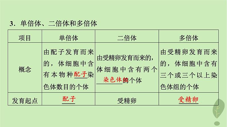 2024版高考生物一轮总复习第7单元生物的变异育种与进化第21课染色体变异课件07