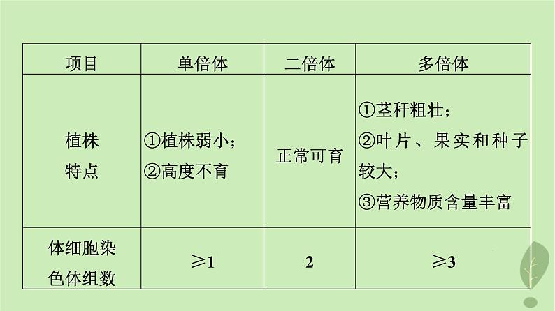 2024版高考生物一轮总复习第7单元生物的变异育种与进化第21课染色体变异课件08