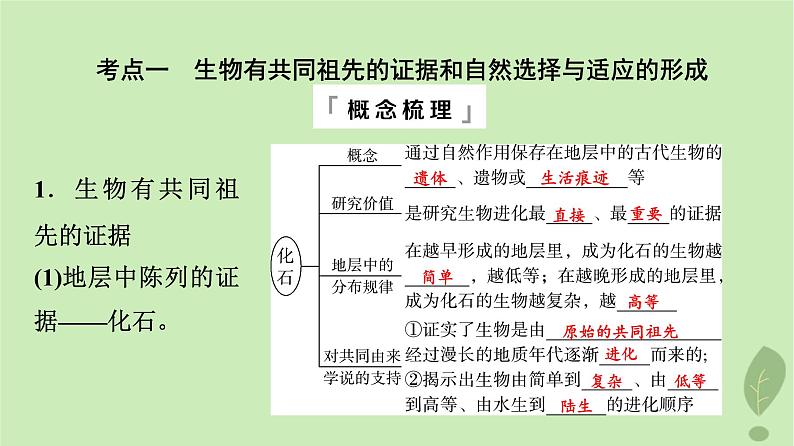 2024版高考生物一轮总复习第7单元生物的变异育种与进化第22课生物的进化课件04