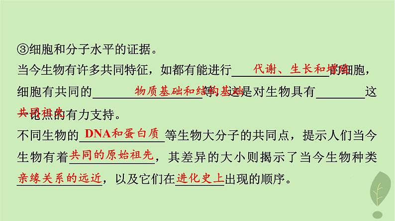 2024版高考生物一轮总复习第7单元生物的变异育种与进化第22课生物的进化课件06