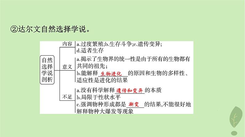 2024版高考生物一轮总复习第7单元生物的变异育种与进化第22课生物的进化课件08