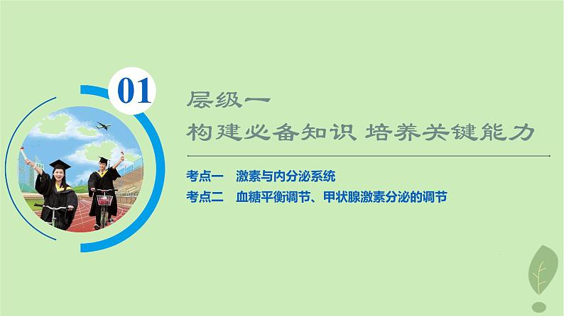 2024版高考生物一轮总复习第8单元生命活动的调节第26课内分泌系统组成与体液调节的过程课件第3页