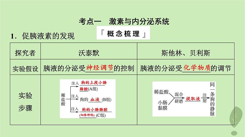 2024版高考生物一轮总复习第8单元生命活动的调节第26课内分泌系统组成与体液调节的过程课件第4页