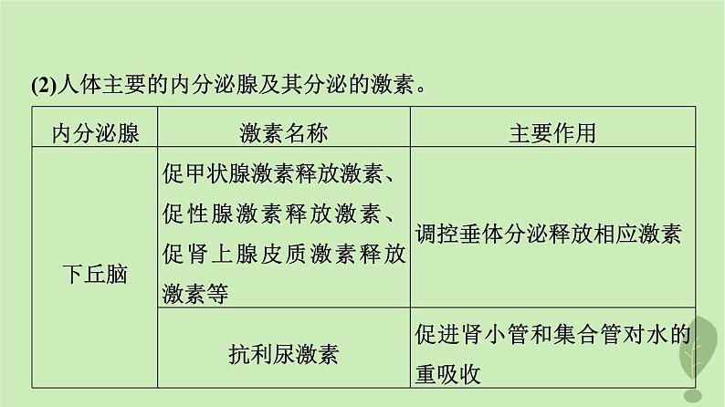 2024版高考生物一轮总复习第8单元生命活动的调节第26课内分泌系统组成与体液调节的过程课件第8页