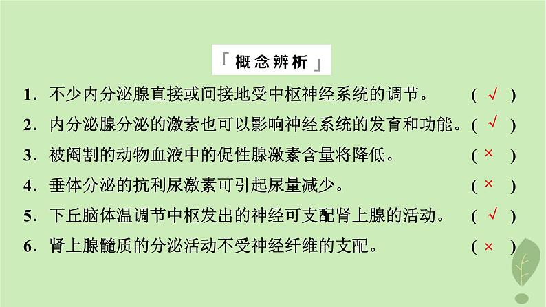 2024版高考生物一轮总复习第8单元生命活动的调节第27课体液调节与神经调节的关系课件06