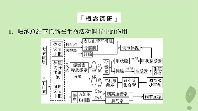 2024版高考生物一轮总复习第8单元生命活动的调节第27课体液调节与神经调节的关系课件07