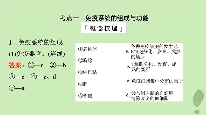 2024版高考生物一轮总复习第8单元生命活动的调节第28课免疫调节课件第4页