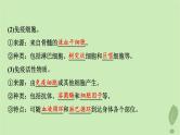 2024版高考生物一轮总复习第8单元生命活动的调节第28课免疫调节课件