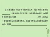 2024版高考生物一轮总复习第8单元生命活动的调节高频考点进阶课4.兴奋传导与传递的相关分析课件