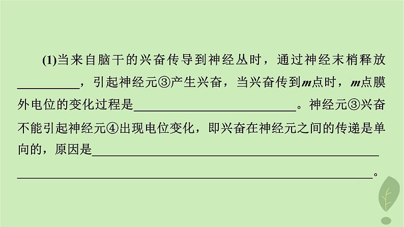 2024版高考生物一轮总复习第8单元生命活动的调节高频考点进阶课4.兴奋传导与传递的相关分析课件第4页