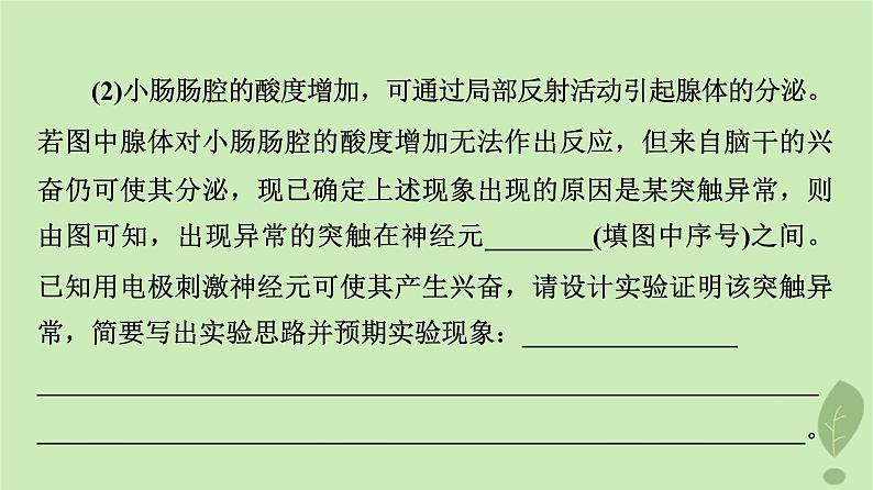 2024版高考生物一轮总复习第8单元生命活动的调节高频考点进阶课4.兴奋传导与传递的相关分析课件第5页