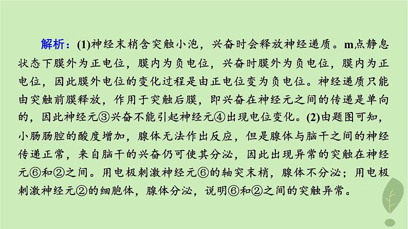 2024版高考生物一轮总复习第8单元生命活动的调节高频考点进阶课4.兴奋传导与传递的相关分析课件第6页