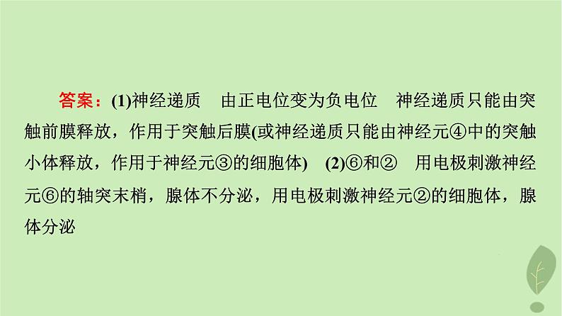 2024版高考生物一轮总复习第8单元生命活动的调节高频考点进阶课4.兴奋传导与传递的相关分析课件第7页