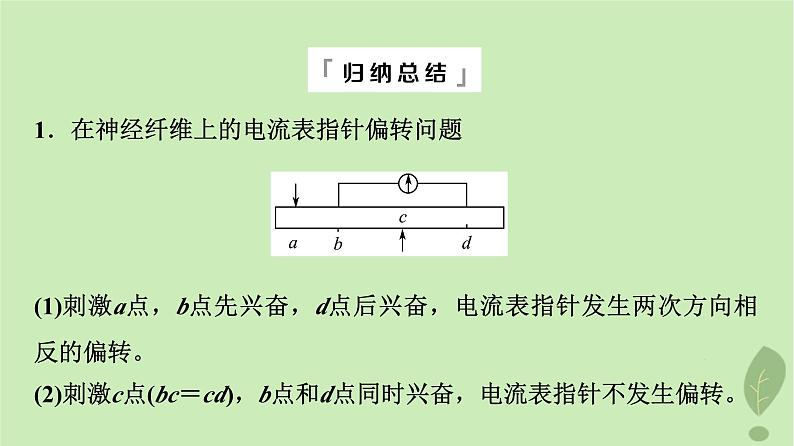 2024版高考生物一轮总复习第8单元生命活动的调节高频考点进阶课4.兴奋传导与传递的相关分析课件第8页