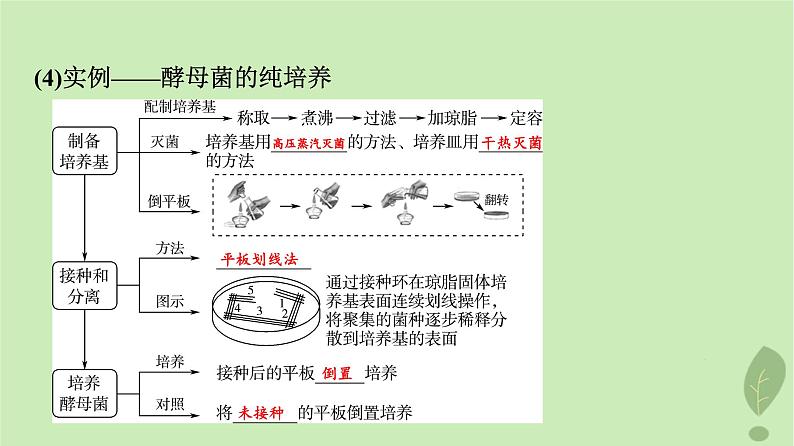 2024版高考生物一轮总复习第10单元生物技术与工程第36课微生物的培养技术及应用课件07