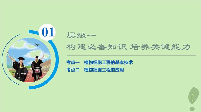 2024版高考生物一轮总复习第10单元生物技术与工程第37课植物细胞工程课件03