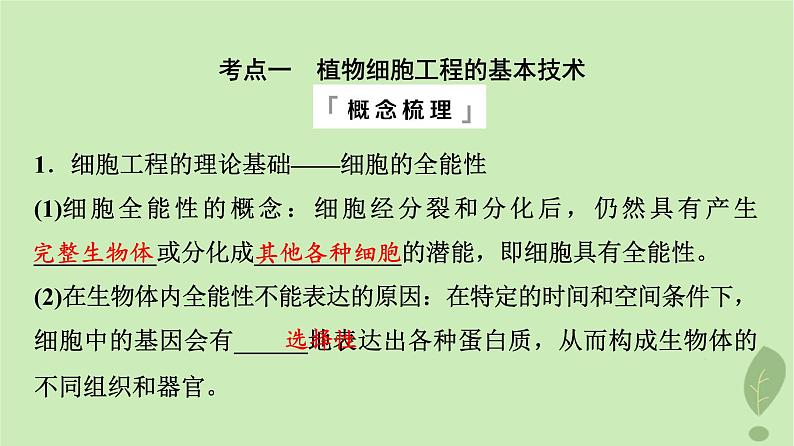 2024版高考生物一轮总复习第10单元生物技术与工程第37课植物细胞工程课件04