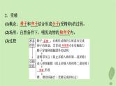 2024版高考生物一轮总复习第10单元生物技术与工程第39课胚胎工程生物技术的安全性与伦理问题课件