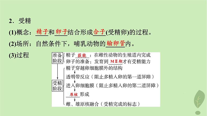 2024版高考生物一轮总复习第10单元生物技术与工程第39课胚胎工程生物技术的安全性与伦理问题课件05