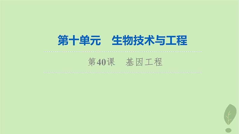 2024版高考生物一轮总复习第10单元生物技术与工程第40课基因工程课件01